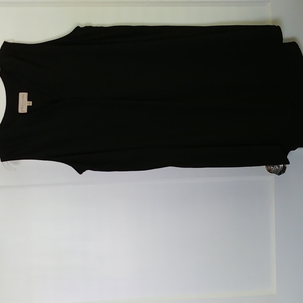 Philosophy Dress 1x